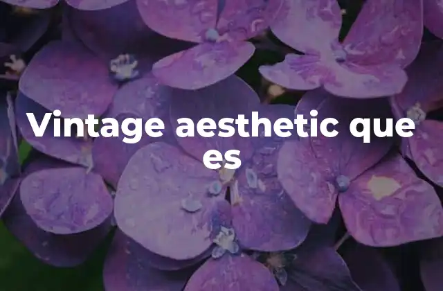 Vintage Aesthetic que es