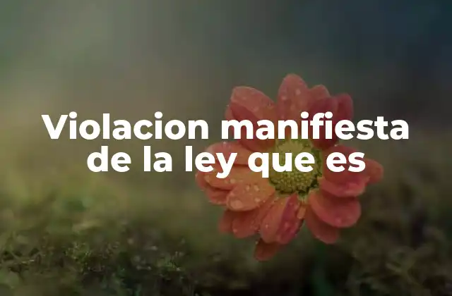 La importancia de identificar una violación clara de normas jurídicas
