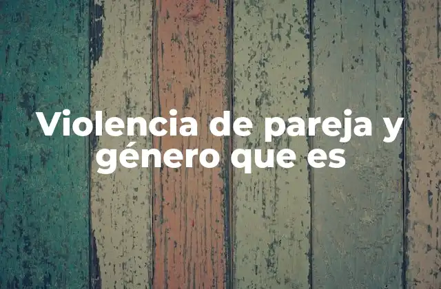 Violencia de Pareja y Género que es