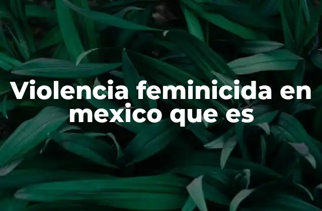 Violencia Feminicida en Mexico que es