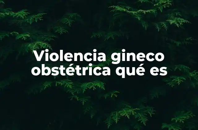 Violencia Gineco Obstétrica Qué es 2 La brecha entre la atención médica y los derechos de las mujeres
