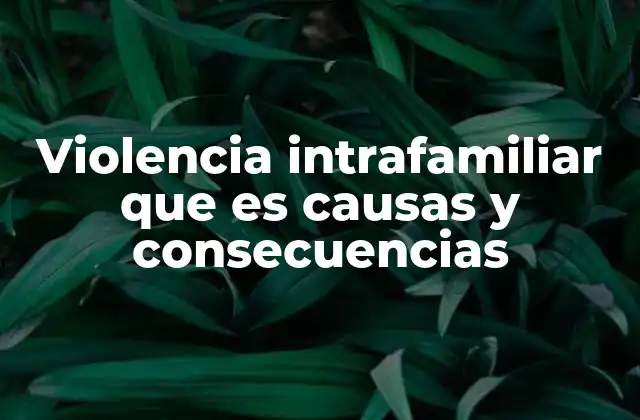 Violencia Intrafamiliar que es Causas y Consecuencias