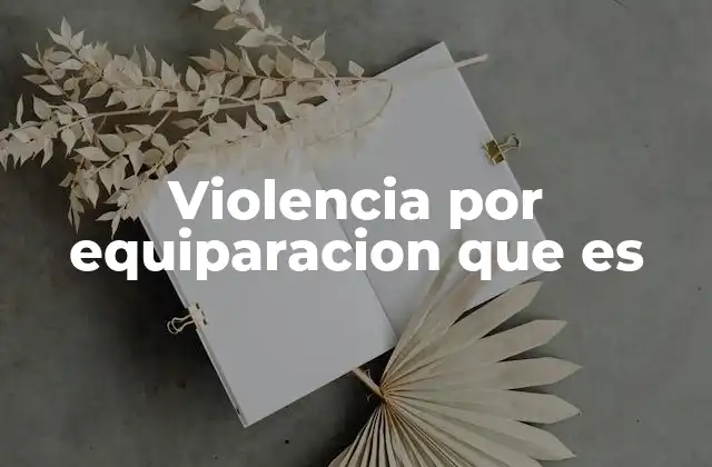 Violencia por Equiparacion que es