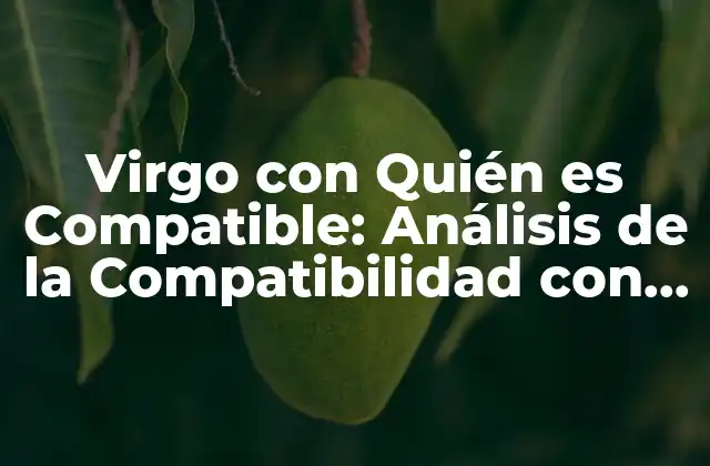 Virgo con Quién es Compatible: Análisis de la Compatibilidad con Cada Signo