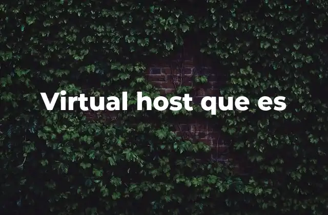 Virtual Host que es