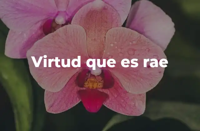 Virtud que es Rae