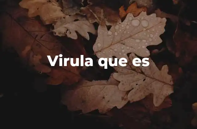 Virula que es