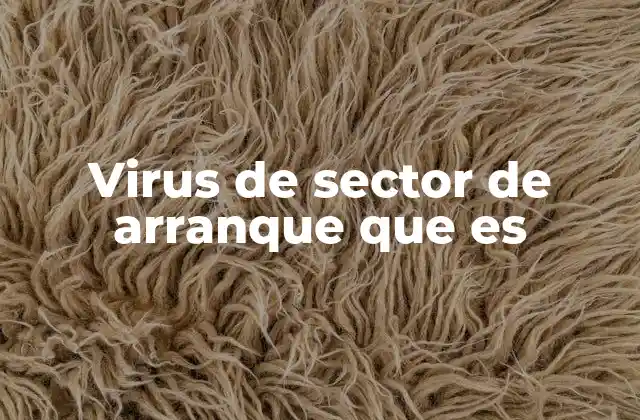Cómo funciona un virus de sector de arranque