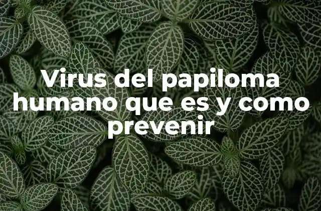 Virus Del Papiloma Humano que es y como Prevenir