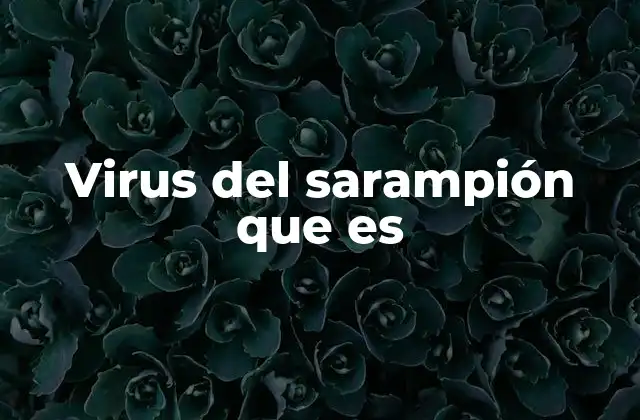 Virus Del Sarampión que es