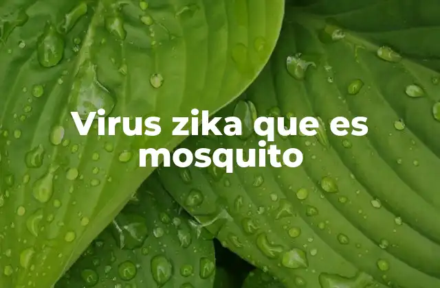 Virus Zika que es Mosquito 2 Cómo se transmite el virus del Zika y por qué el mosquito es su principal vector