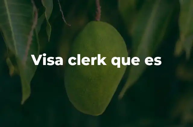Visa Clerk que es