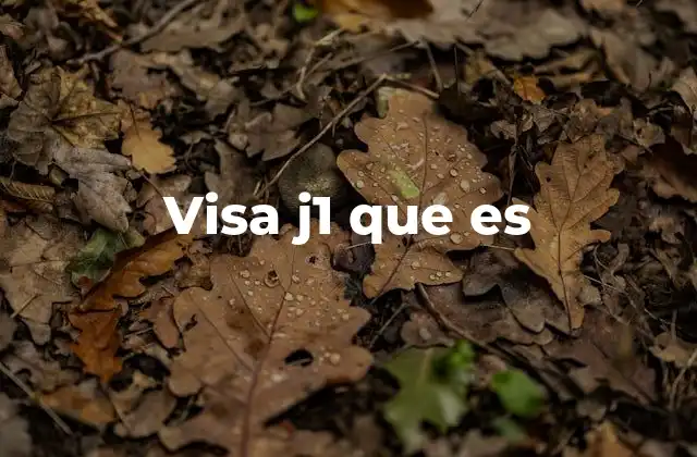 Visa J1 que es