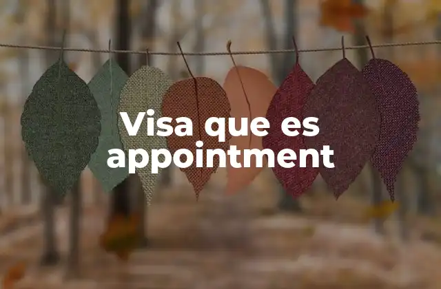 Visa que es Appointment