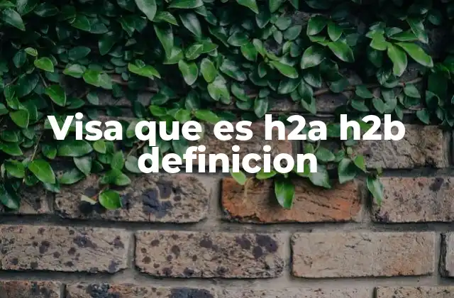 Visa que es H2a H2b Definicion