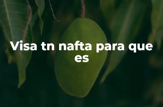 Visa Tn Nafta para que es