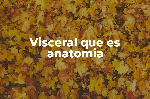 Visceral que es Anatomia