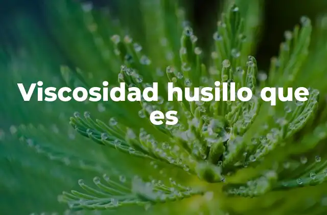 Viscosidad Husillo que es