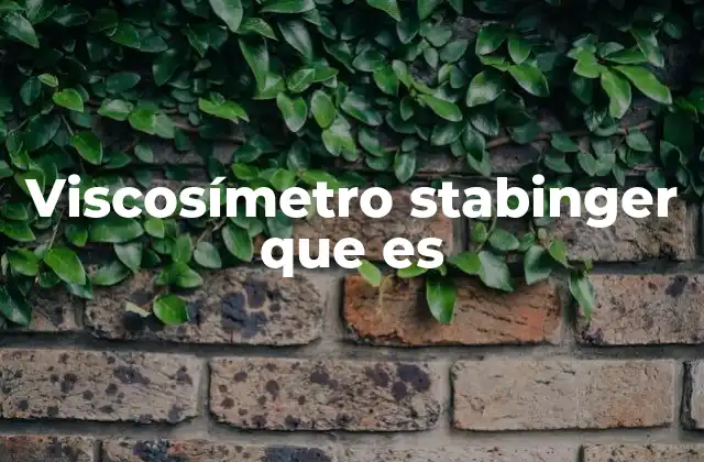 Viscosímetro Stabinger que es