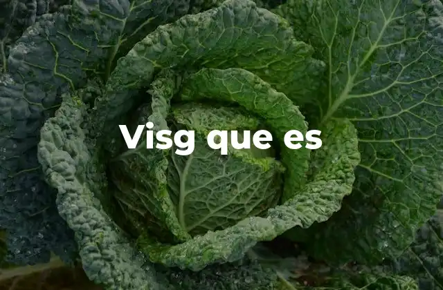 Visg que es