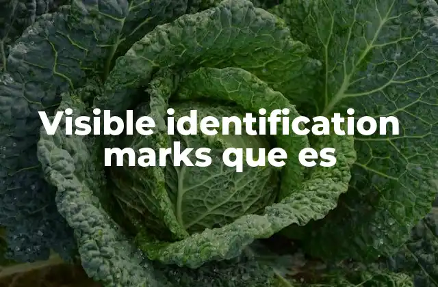 Visible Identification Marks que es 2 La importancia de la señalización visual en la vida cotidiana
