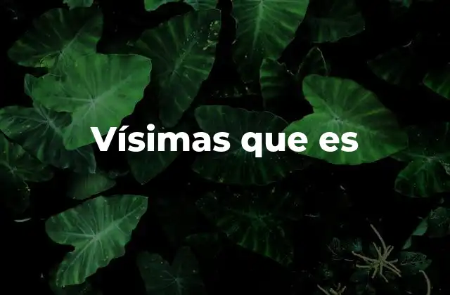 Vísimas que es 2 Tipos de visas y su importancia en la movilidad internacional