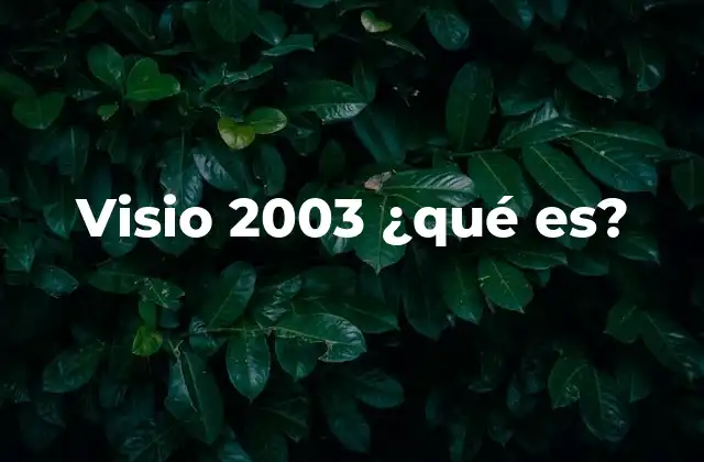 Visio 2003 ¿qué Es?