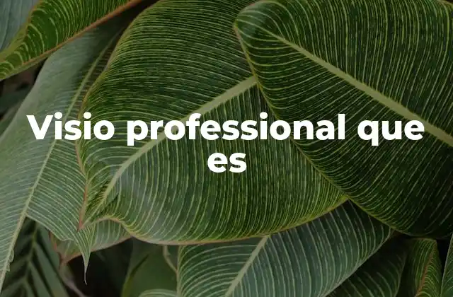 Visio Professional que es