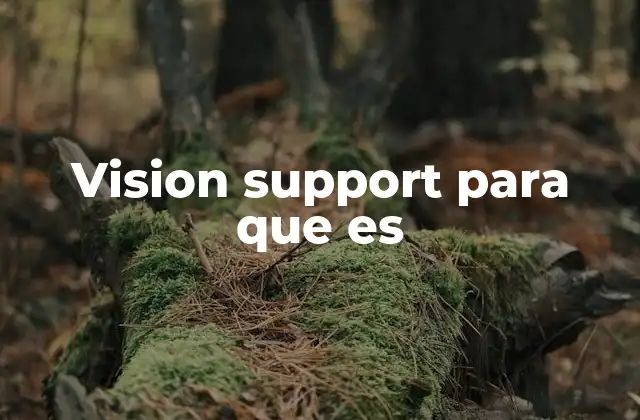Vision Support para que es