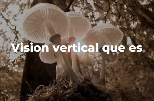Vision Vertical que es