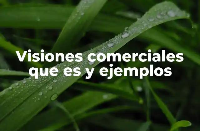 Visiones Comerciales que es y Ejemplos