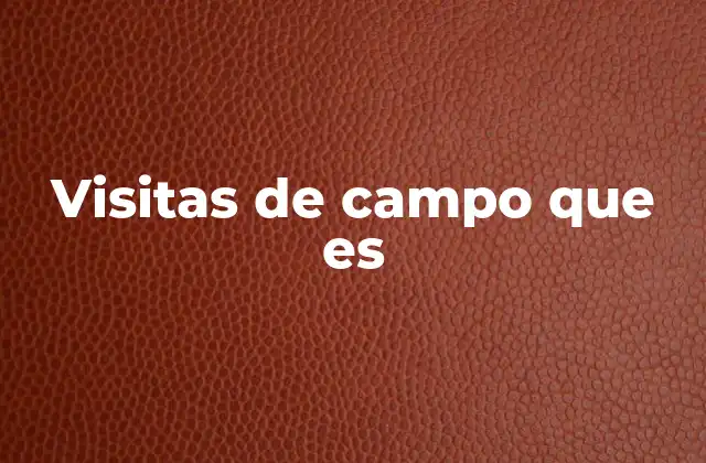 La importancia de la observación en entornos reales