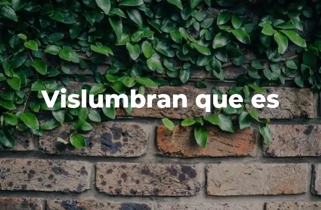 Vislumbran que es