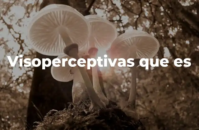 Visoperceptivas que es