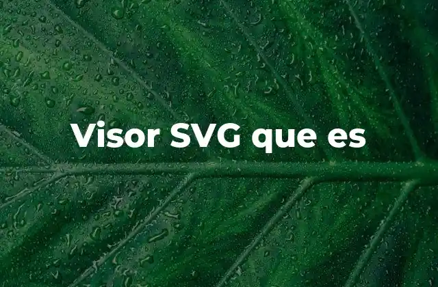 Visor Svg que es