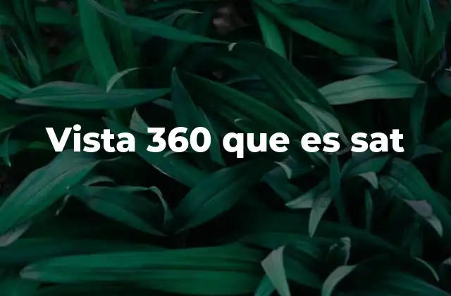 Vista 360 que es Sat