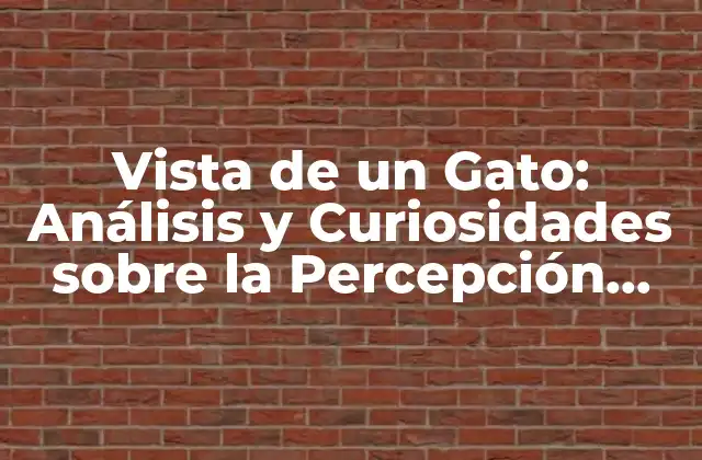 Vista de un Gato: Análisis y Curiosidades sobre la Percepción Felina