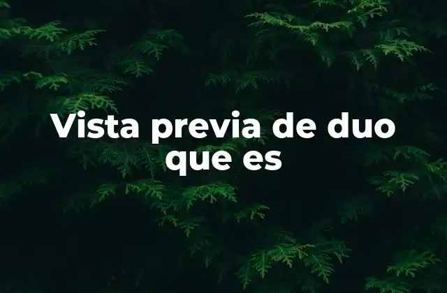 Vista Previa de Duo que es 2 Cómo la vista previa de Duo mejora la experiencia del usuario