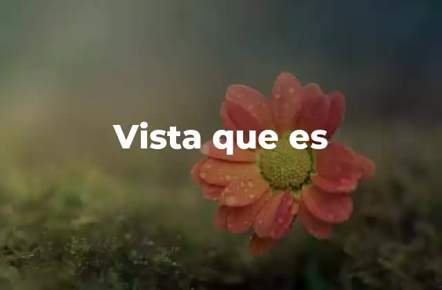 Vista que es
