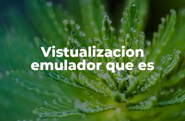 Vistualizacion Emulador que es