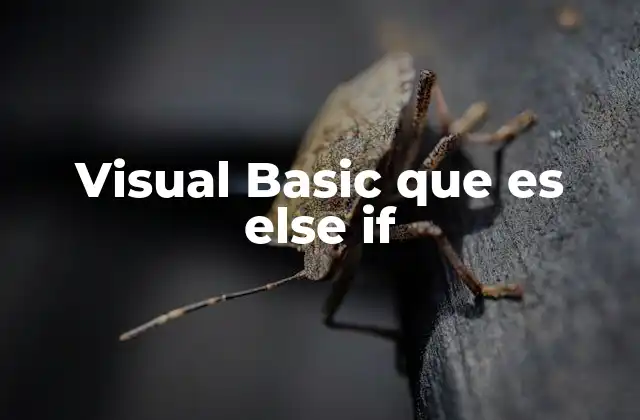 Visual Basic que es Else If 2 Uso de estructuras condicionales en Visual Basic