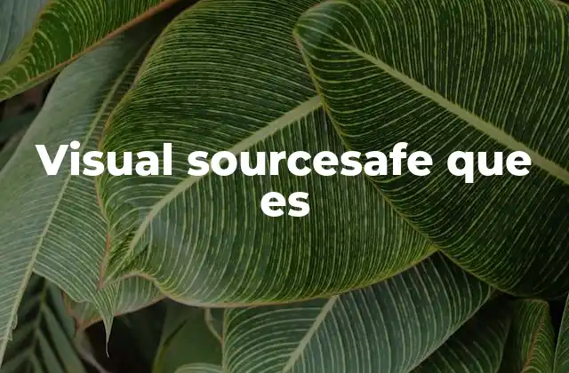 Visual Sourcesafe que es