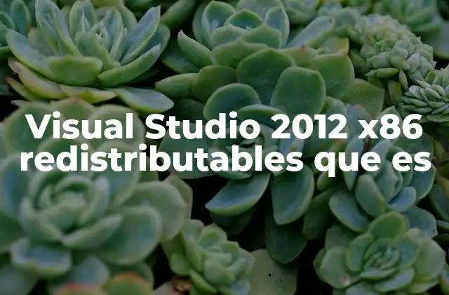 Visual Studio 2012 X86 Redistributables que es