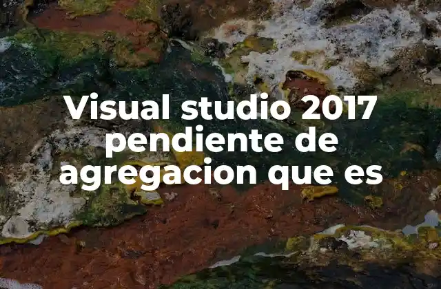 Visual Studio 2017 Pendiente de Agregacion que es