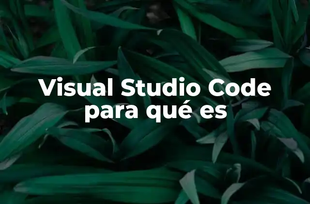 Visual Studio Code para Qué es