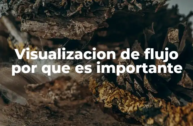 Visualizacion de Flujo por que es Importante
