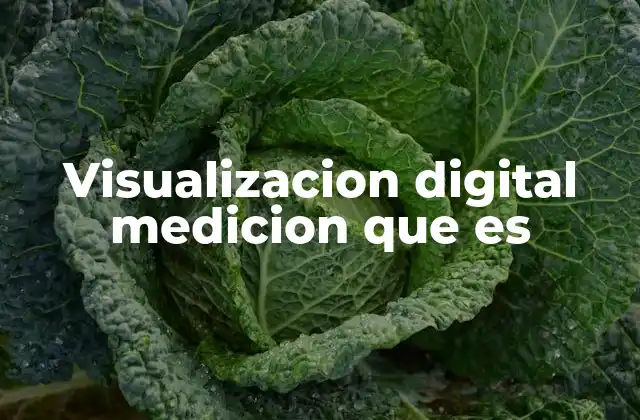 La importancia de la representación visual en el análisis de datos