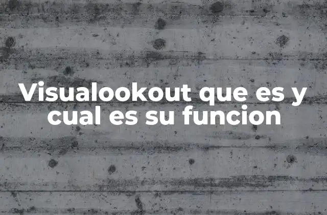 Visualookout que es y Cual es Su Funcion