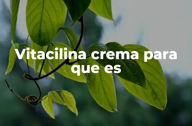 Vitacilina Crema para que es