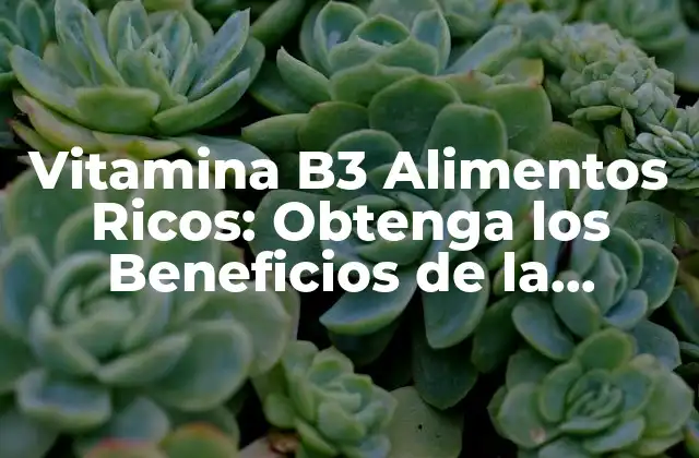 ¿Qué es la Vitamina B3 y por qué es importante?